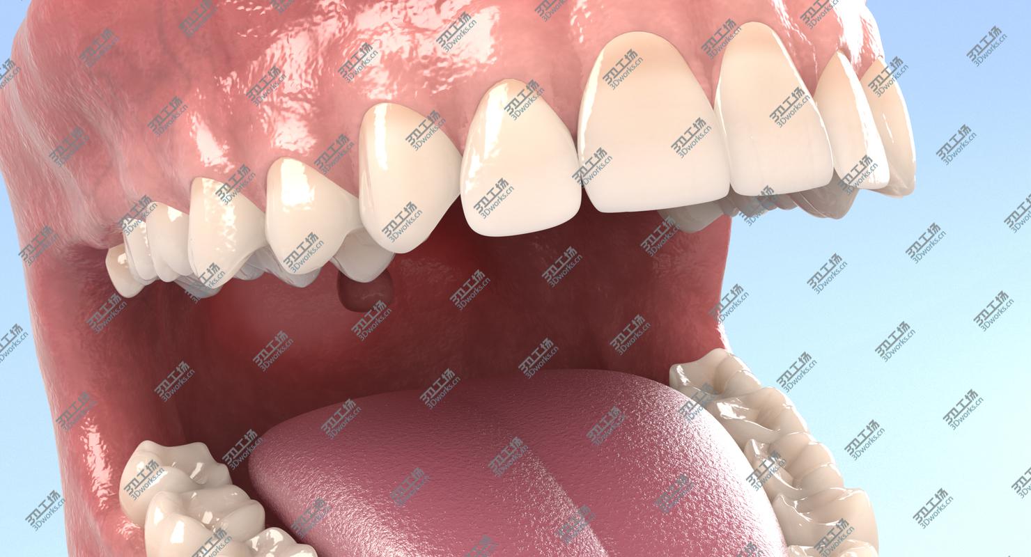 images/goods_img/202104021/3D Dental Anatomy/5.jpg